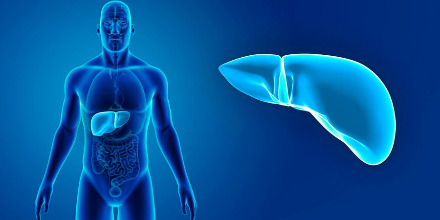 Печеночные пробы в клинике СкороМед