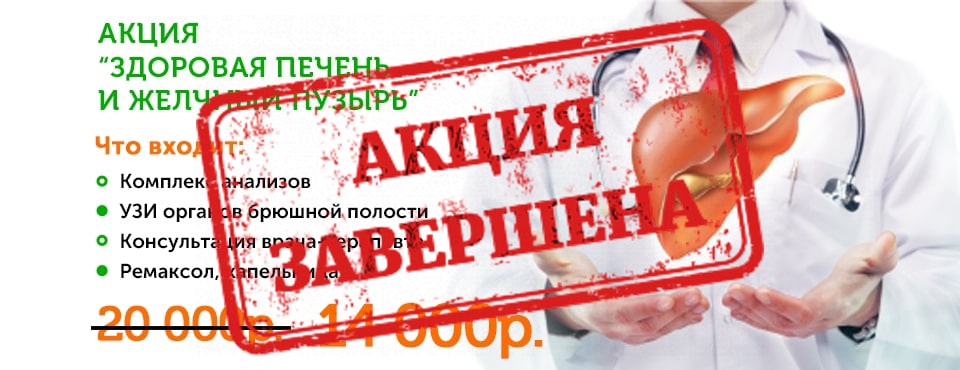 Здоровая печень и желчный пузырь